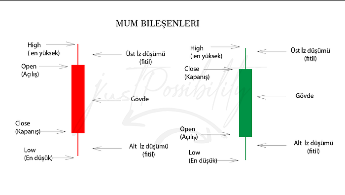 Mum bileşenleri ve bilinmesi gerekenler